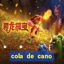 cola de cano quanto tempo para secar